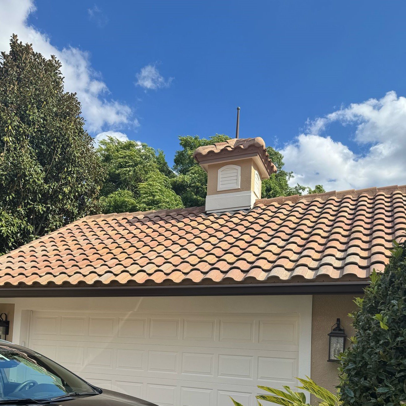 WhatsApp Image 2025-03-20 at 23.46.29-cuted WhatsApp Image 2025-03-20 at 23.46.29-cuted